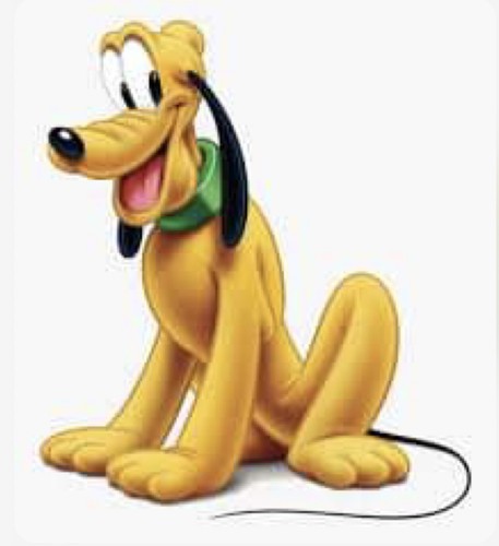Pluto motivo punto - motivo,